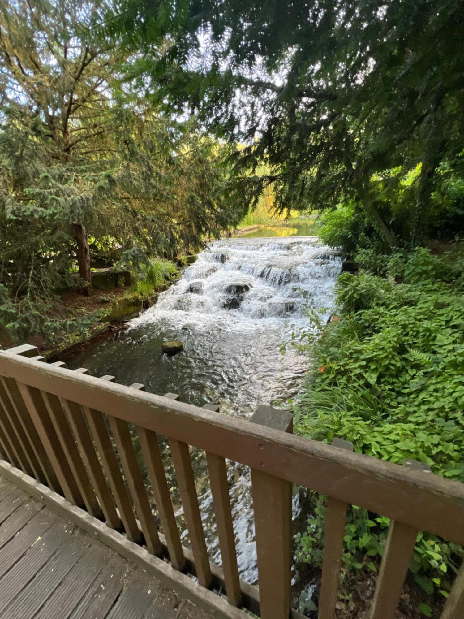 Cosy Private Flat In London, Free Parking On Premise Apartman Carshalton Kültér fotó